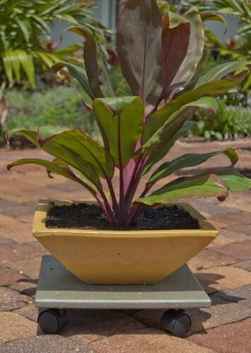 Recycled Garden Accessories from Terracycle